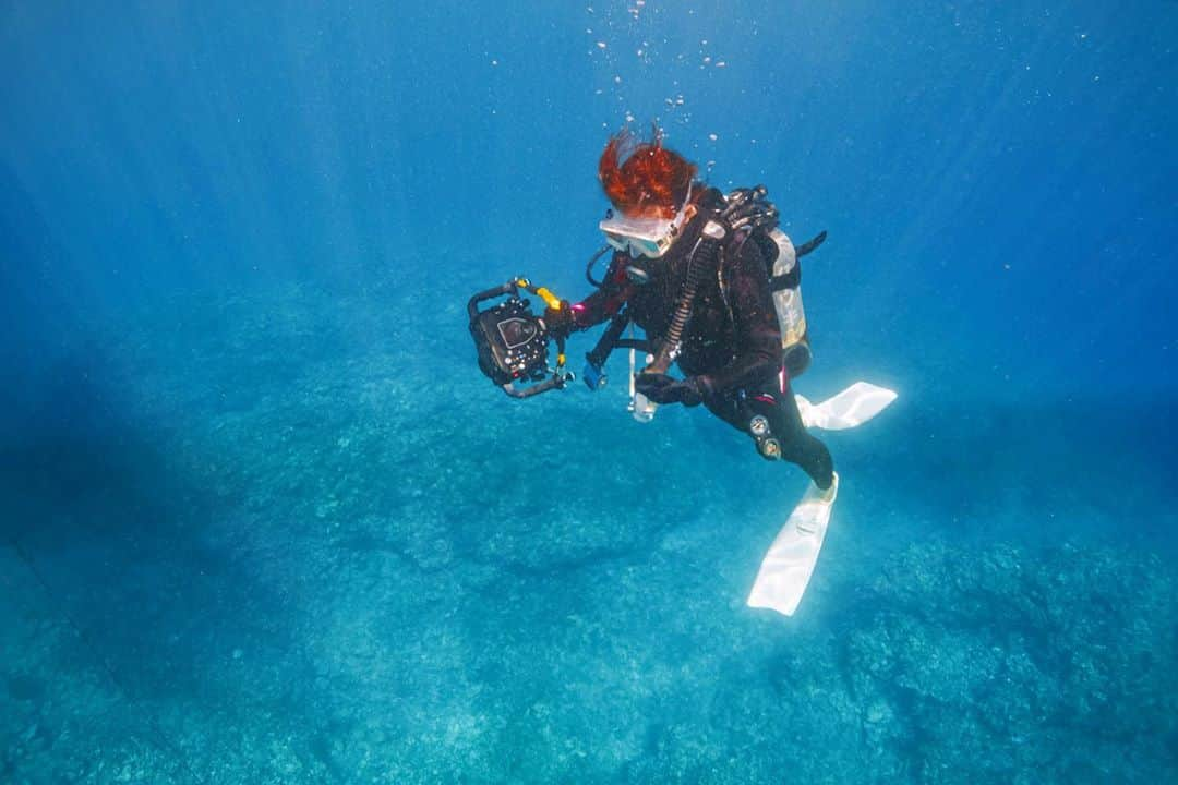 木村文乃さんのインスタグラム写真 - (木村文乃Instagram)「*** 光の柱がキレイね。  #ダイビング #diving #diver #水中カメラ」10月5日 22時13分 - uminokimura_official