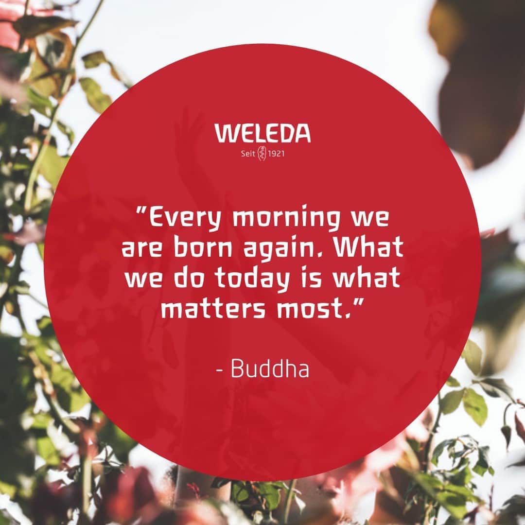 Weledaのインスタグラム：「Treat each day as if it were a fresh start! ✨ #Quoteoftheday」