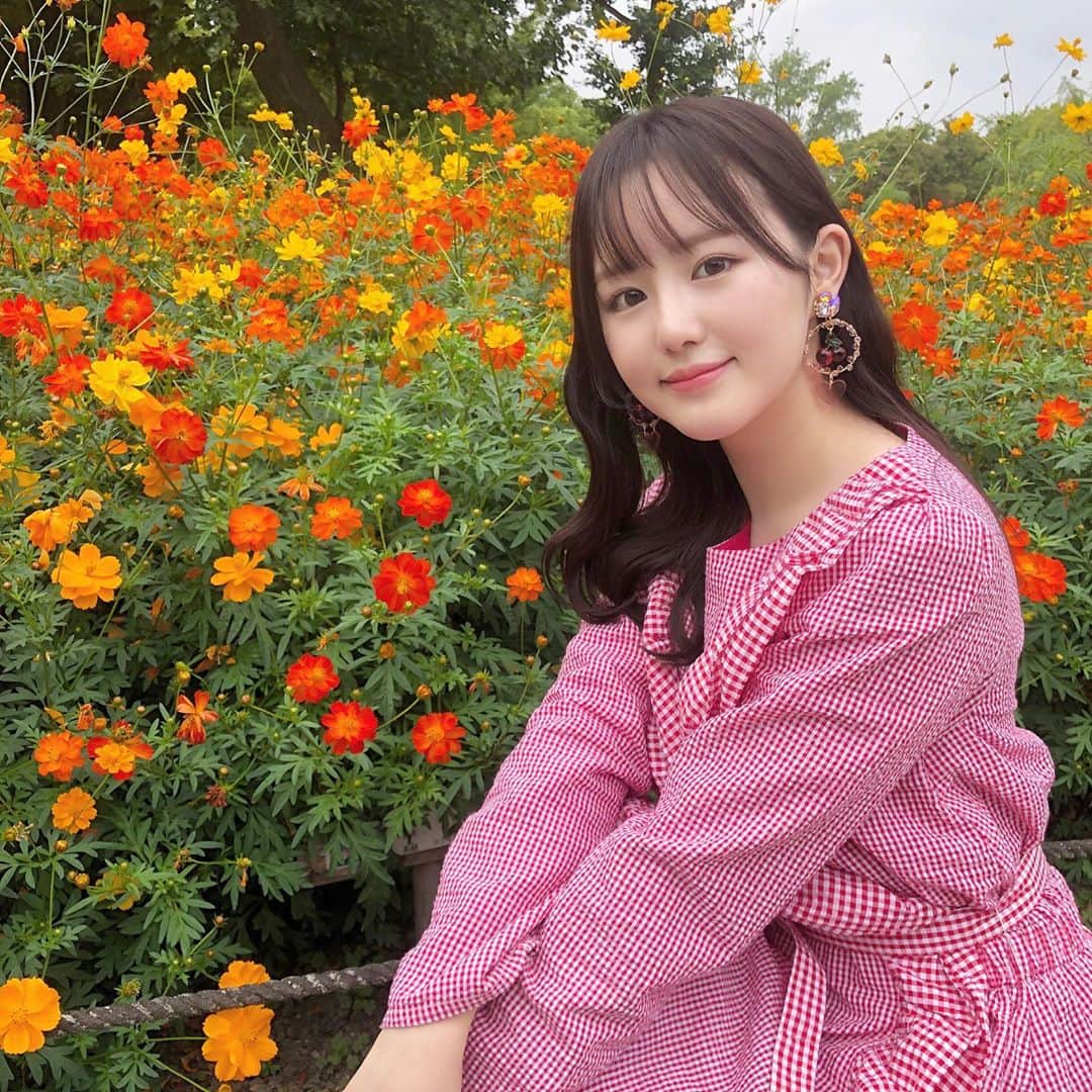 伊藤小春のインスタグラム：「・﻿ 歩いてたら花がたくさん！🌼﻿ ﻿ ﻿ 好きな色（ピンクと黄色）を街中で見かけると、﻿ 「かわいいー！」って吸い寄せられます♡﻿ ﻿ ﻿ ちなみにお箸はピンク系と黄色系しか持っていません笑」