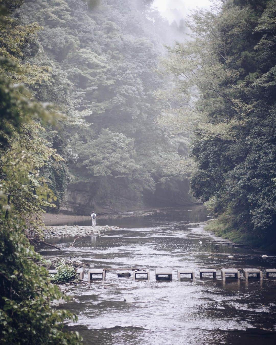 ima_ju / Jun Iのインスタグラム：「: : On the Banks  ほとりで : : ::」