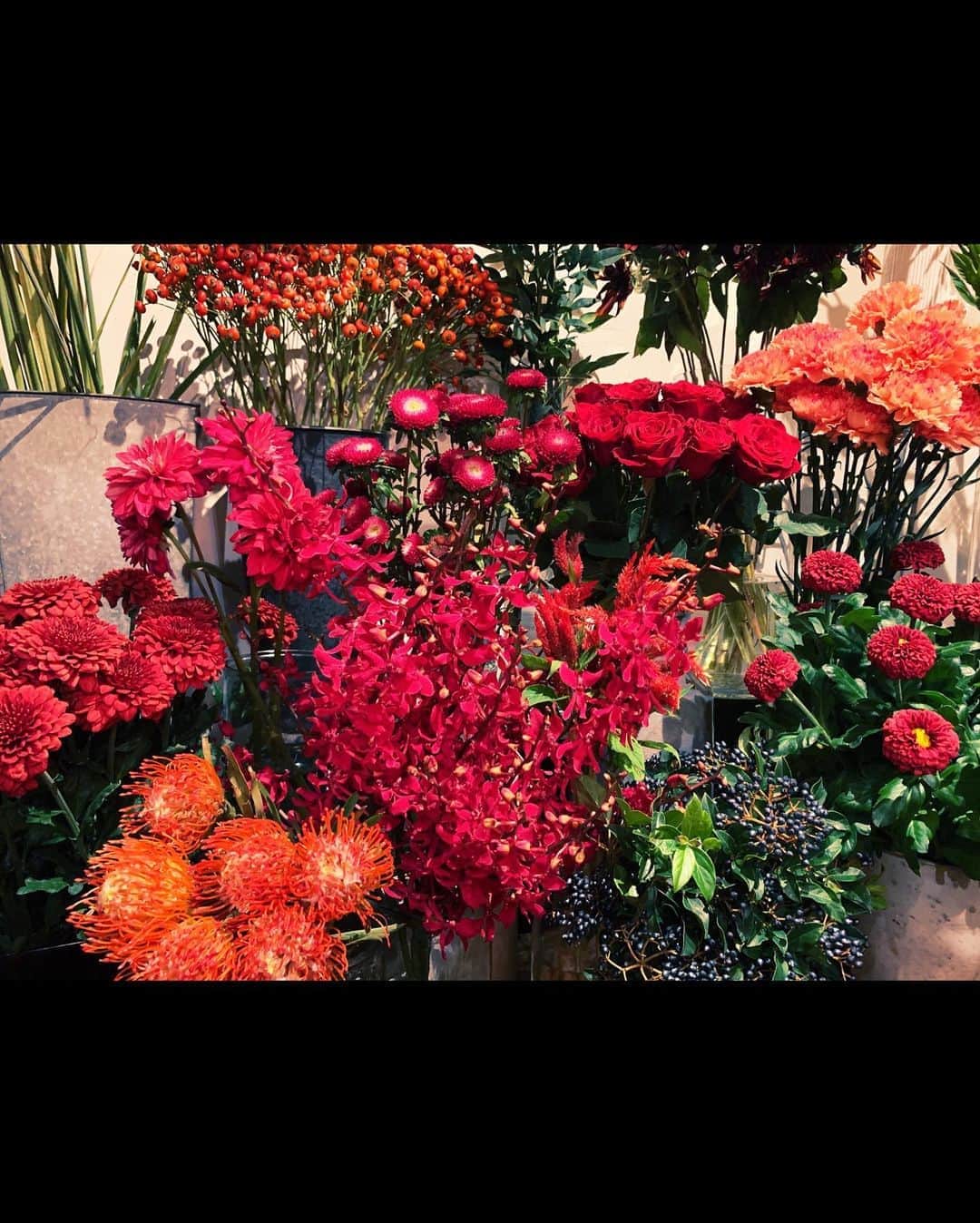西田あいさんのインスタグラム写真 - (西田あいInstagram)「すてきなお花屋さんに 出会ったんだー❤︎ 今、とある10周年企画の準備で ありがたいバタつきのなか 小道具用のお花を見つけてたら 出会いました☺︎ ・ ドライフラワーって 素敵だね💐 ・ みんなはお部屋に お花飾る派ですか？ ・ ・ #instagood #instalike #instaflower #flowerphotography #flowerarrangement #flowershop #flowerstagram #dryflower #ドライフラワーブーケ #ドライフラワー #ドライフラワーインテリア #ニシアイアート #西田あい」10月5日 22時39分 - nishidaai