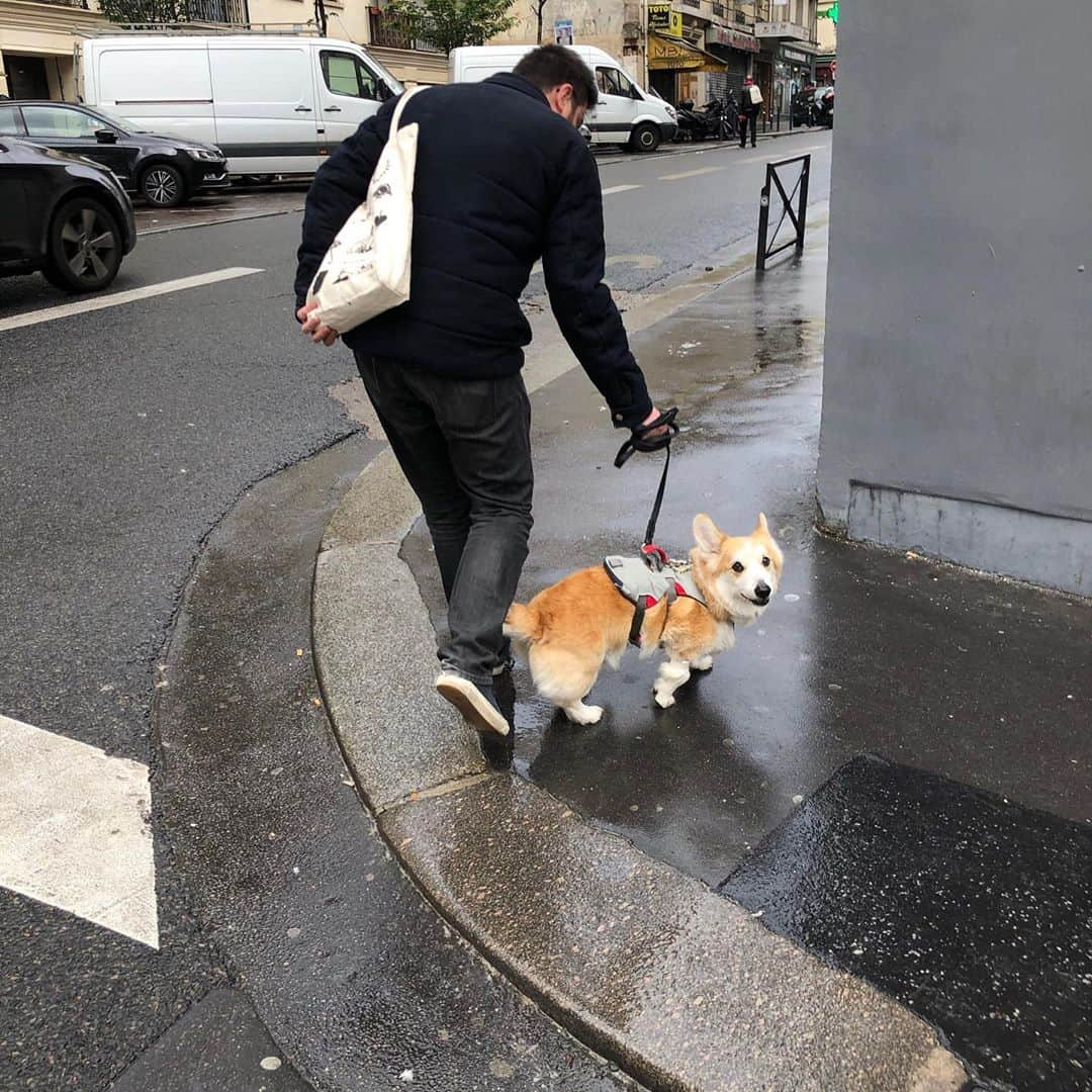 Jean Jullienさんのインスタグラム写真 - (Jean JullienInstagram)「This signed doggy bag screenprint is up for sale at @we_give_collab , in support of @lamaisondesfemmes93 in a wonderful auction gathering some fantastic people, go check it out! Bidding ends tomorrow 7pm CET I’m also donating one faceplate done with @case_studyo (they’re sold out, so i’m giving one of mine!) and a handpainted @nounou_official tshirt).」10月5日 23時31分 - jean_jullien