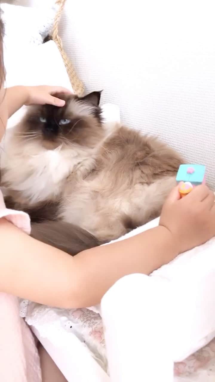 plumeのインスタグラム