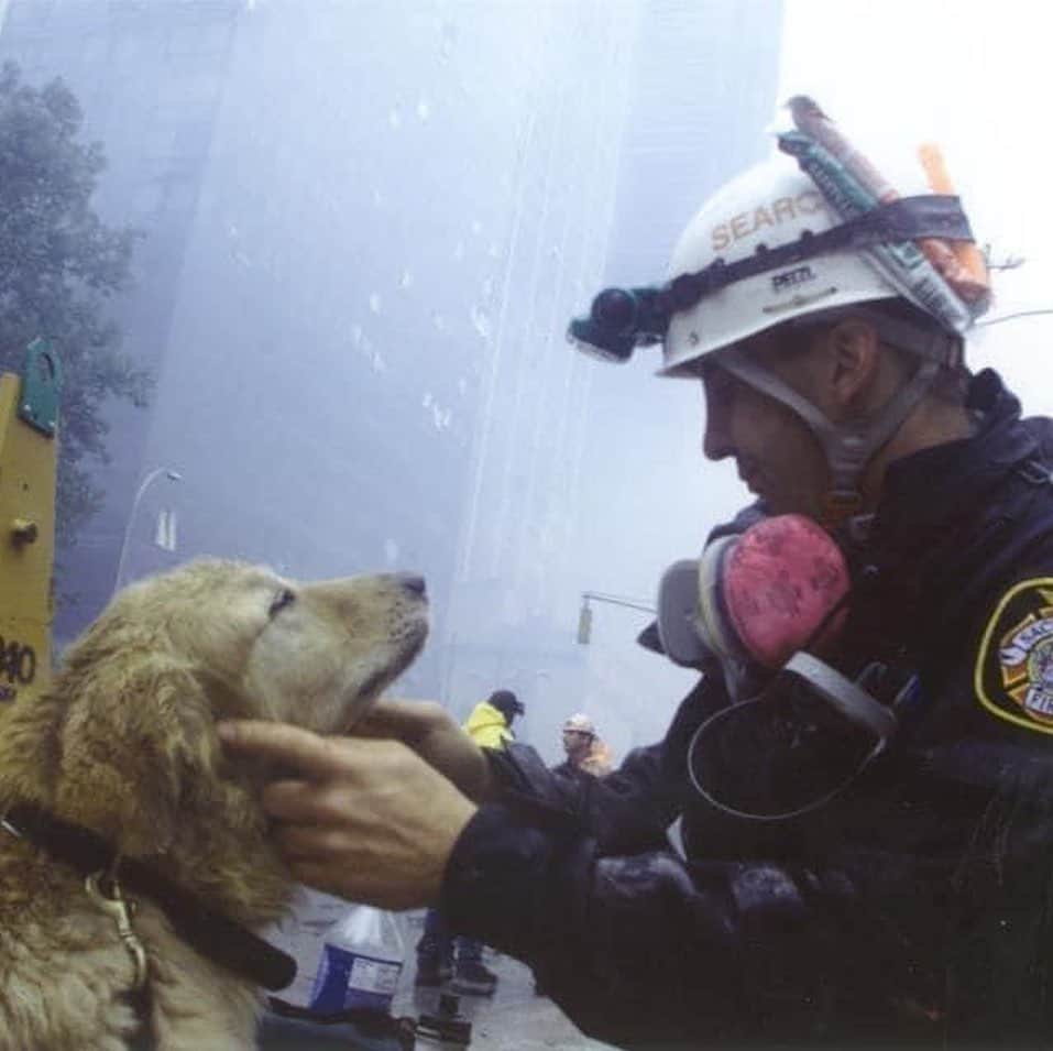 ニッキー・ベンツさんのインスタグラム写真 - (ニッキー・ベンツInstagram)「Honoring the 9/11 rescue dogs ❤️🙏🏽」9月12日 8時08分 - nikkibenz