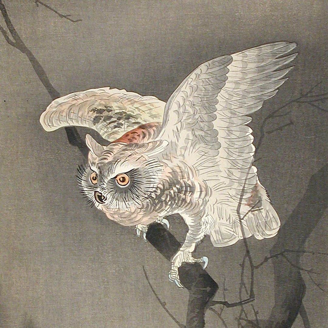 ロサンゼルスカウンティ美術館さんのインスタグラム写真 - (ロサンゼルスカウンティ美術館Instagram)「Whoooo's ready for the weekend? 🌙  Ohara Shōson, "Scops Owl in Moonlight," early 1920s, color woodblock print.」9月12日 8時03分 - lacma
