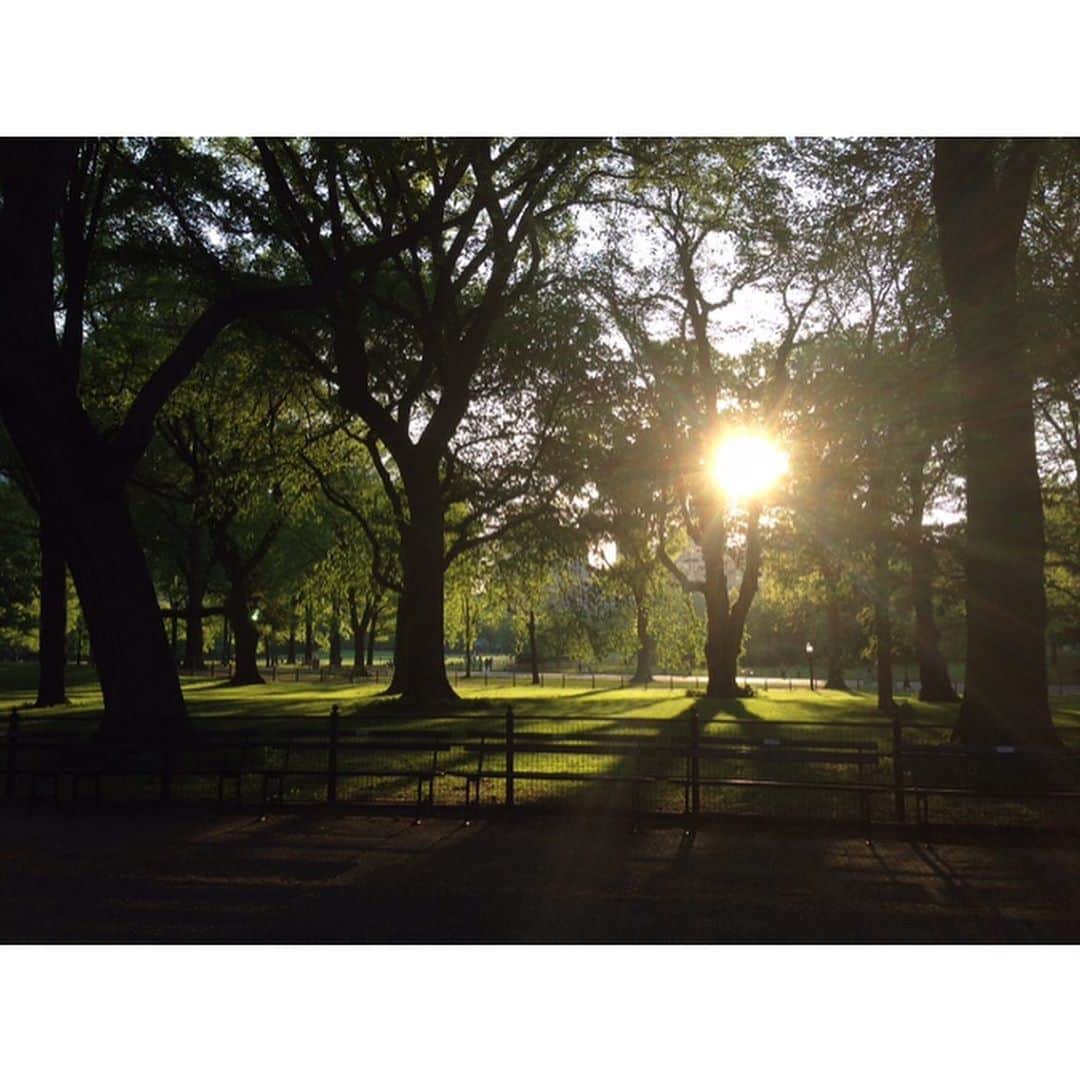 エリザベス・リーサーのインスタグラム：「Greatest city in the world (gotta credit Lin-Manuel Miranda because I only hear those words in song) #nyc #september11 #neverforget」