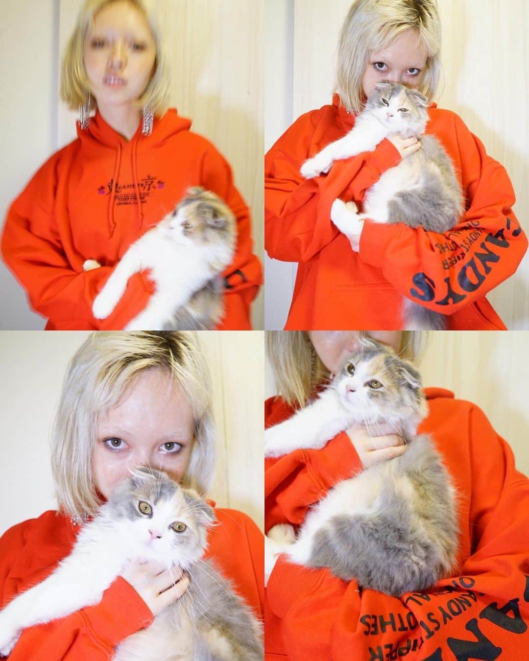 板橋よしえのインスタグラム：「. 𝔸𝕌𝕋𝕌𝕄ℕ 𝐒𝐖𝐄𝐀𝐓 ⒸⒶⓉⒶⓁⓄⒼ 漢̳字̳ S̳W̳E̳A̳T̳  𝕞𝕠𝕕𝕖𝕝 & 𝕤𝕥𝕪𝕝𝕚𝕟𝕘 @ashley__0625  𝕡𝕙𝕠𝕥𝕠𝕘𝕣𝕒𝕡𝕙𝕖𝕣 @kazaneflowerboy   #candystripper #candystripper_magazine」