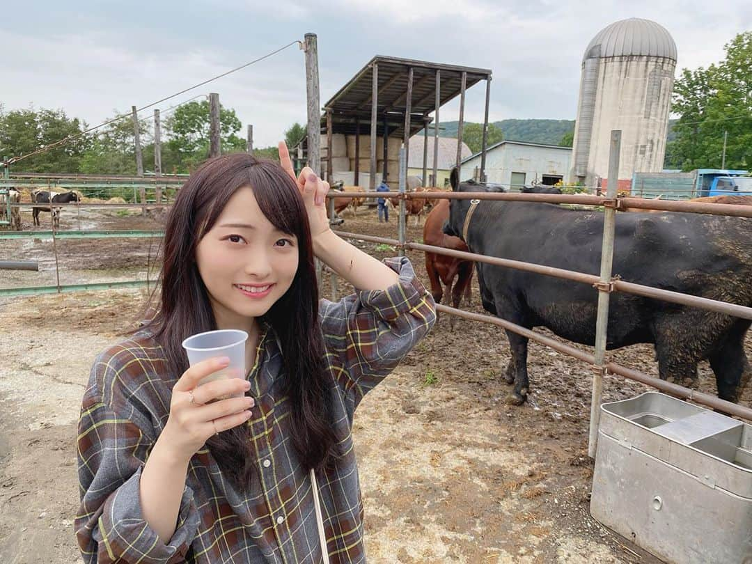 清原梨央さんのインスタグラム写真 - (清原梨央Instagram)「もお〜〜〜🐄🐄🐄 迫力に負けて仲良くなりきれませんでした。。笑 牛さんまた会おうね！ ・ #北海道 #札幌 #hokkaido #sapporo  #牧場 #ハイジ牧場  #牛 #うし」9月11日 23時48分 - ___rioky001114