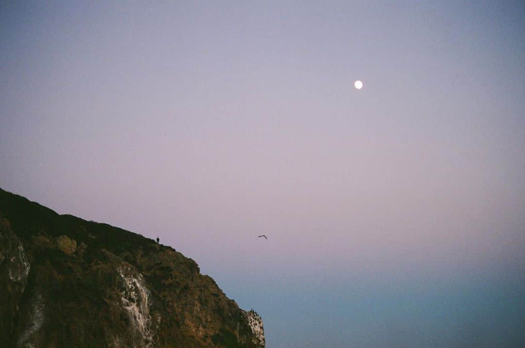 松島エミのインスタグラム：「Moon, bird and man . #malibu#film#shootfilm#analogphotography #nature#naturephotography #sunset#dusk#moon#pastelsky#portra#kodak#leicaphotography#beachlife#pointdume」