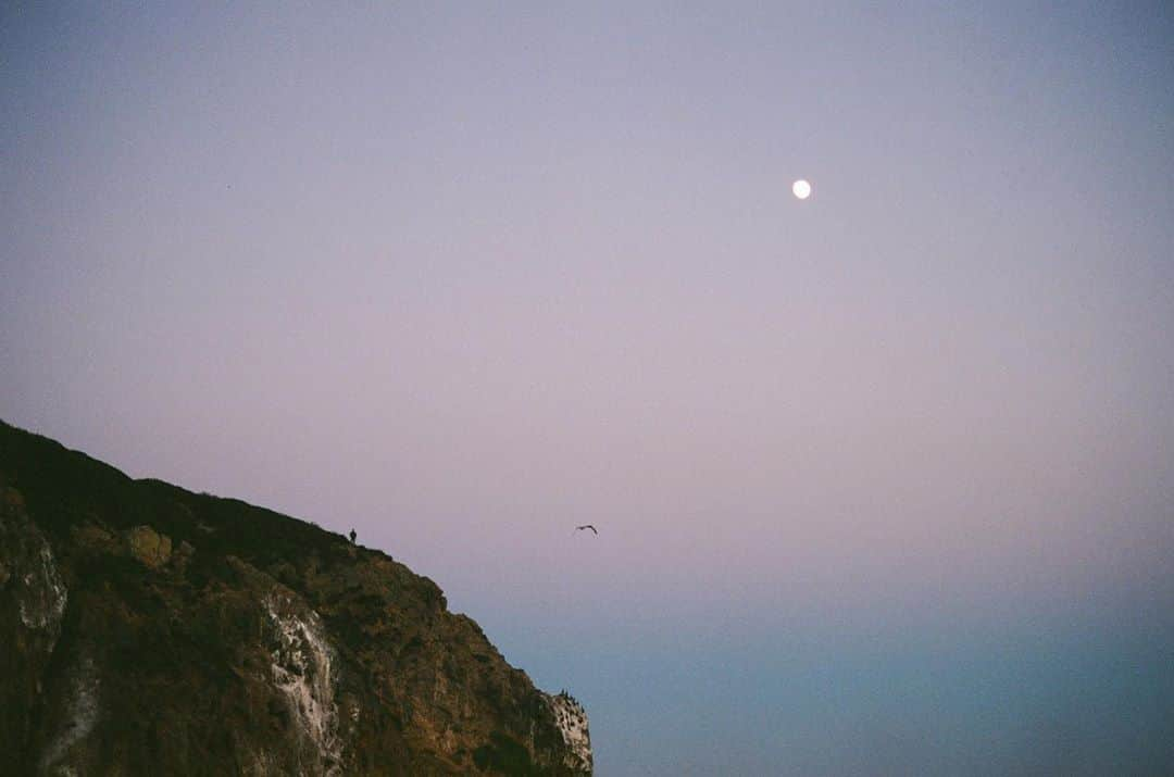 松島エミさんのインスタグラム写真 - (松島エミInstagram)「Moon, bird and man . #malibu#film#shootfilm#analogphotography #nature#naturephotography #sunset#dusk#moon#pastelsky#portra#kodak#leicaphotography#beachlife#pointdume」9月11日 23時55分 - emimatsushima