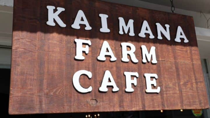 マヤ アリーナのインスタグラム：「「サポート・ローカル・ハワイ」第9エピソードはKaimana Farm Cafe! よくママと行くこのカフェ、大好き。ローカルなものを中心に使っていて全部材料はフレッシュ。私はいろんなチョイスを選べるパワー弁当が好き😍もちろん抹茶もね🍵店内も凄く可愛い。行ったことあるかな？今度ハワイに来たら絶対行ってみてね！Youtubeで完全エピソード見れるよ！リンクはプロフィールに入ってまーす⤴️  Episode 9 of Support Local Hawai’i is Kaimana Farm Cafe! I absolutely adore this place and love how they prioritize using fresh/local ingredients.  From soufflé omelettees to bento’s where you can choose from a variety of delicious sides, I promise you’ll enjoy anything you order. They are currently open for takeout during lunch and dinner so definitely check them out! You won’t be disappointed🥰Full link in bio. #supportlocal #hawaii #supportsmallbusiness   Special thanks to: @kaimanafarmcafe  www.kaimanafarmcafe.com  📷: @norihasunuma3953 @linomodel_agency」