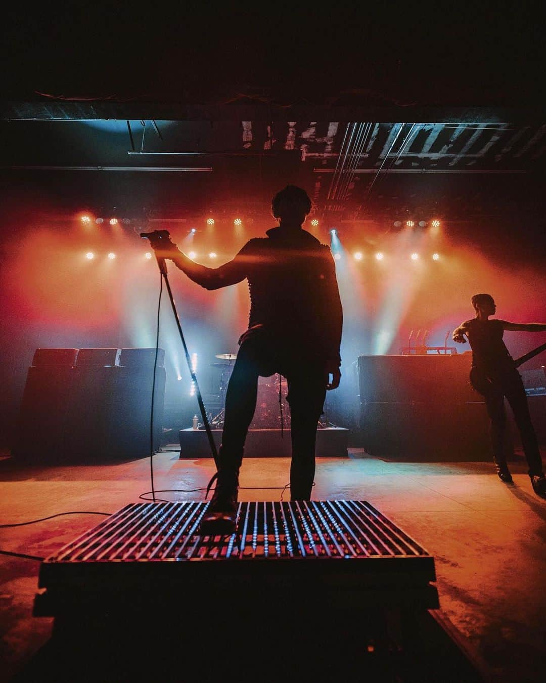 AFIのインスタグラム：「I remain in shadows growing wings ﻿ ﻿📷: @mattyvogel」