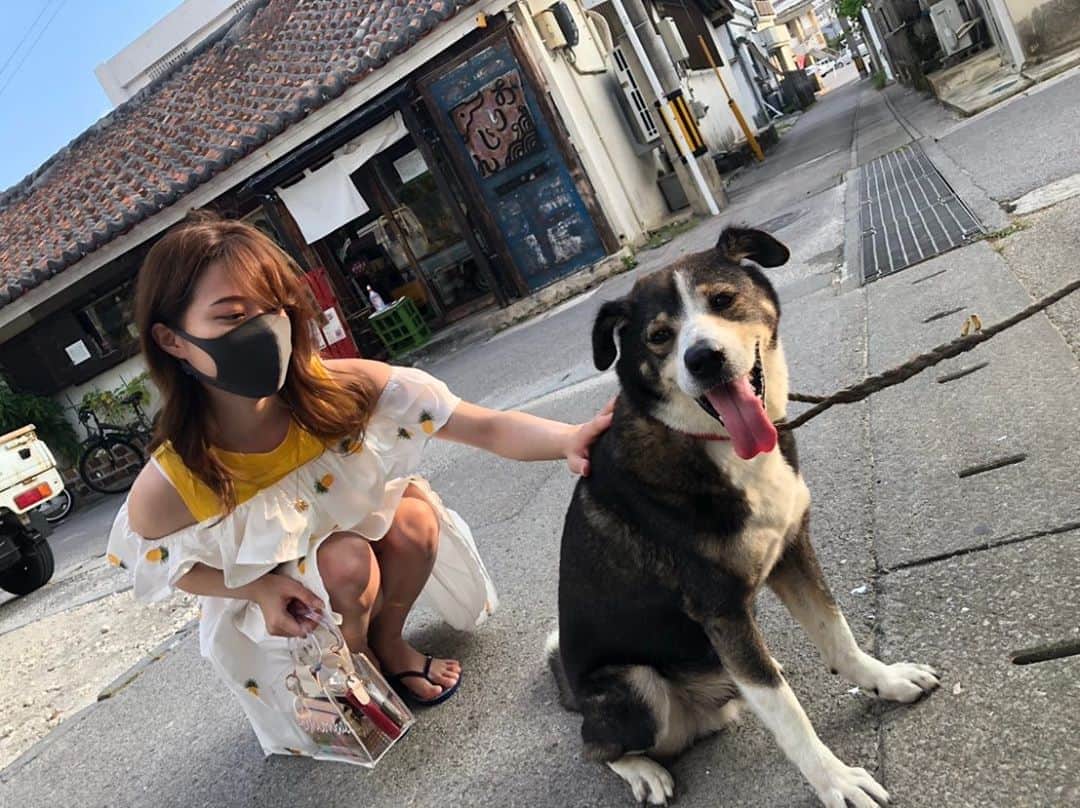 Laraのインスタグラム：「╰( Ｕ ・ᴥ・)m . 背中撫でろ。て言ってきた犬かわいかった🐕💓☺️  #いぬすたぐらむ  #dogstagram #doglife」