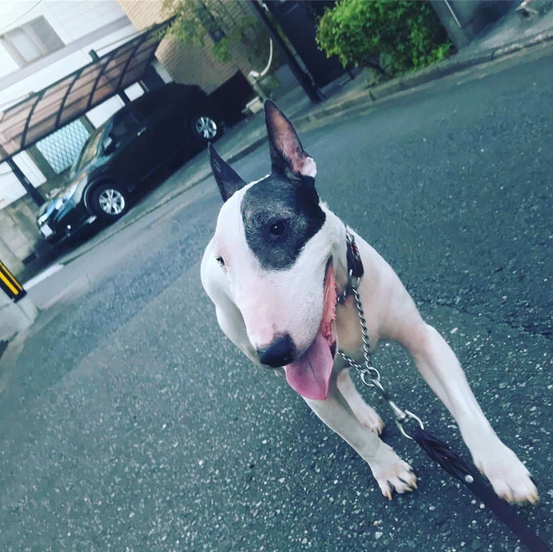 Q太郎のインスタグラム