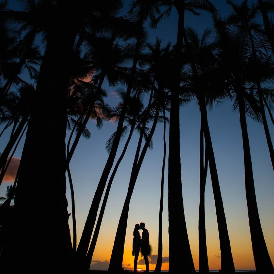 ラヴィ•ファクトリーさんのインスタグラム写真 - (ラヴィ•ファクトリーInstagram)「【写真で叶える結婚式】 . 大自然を感じるハワイの地で* 日常と離れた空間で、何の縛りもなく 愛おしい時間をカタチに..*  一瞬一瞬、逃すことなく 大切にお写真に残します◎ —————— ラヴィファクトリーハワイ: @laviefactoryhawaii  Photographer: Tomita,Tetsuya Junko,ken AREA:HAWAII —————— @laviefactoryをフォローして #laviefactory #ラヴィファクトリー のハッシュタグをつけて お写真を投稿してみてくださいね✳︎ . こちらの公式IG（@laviefactory） で取り上げさせていただきます✨ #wedding#weddingphotography #ラヴィファクトリー #laviefactory #photo #生きる写真 #ハートのある写真 #instawedding #結婚写真 #ウェディング #ウェディングフォト #撮影指示書 #ロケーションフォト #前撮り #プレ花嫁 #結婚準備 #写真好きな人と繋がりたい #フォトウェディング #卒花 #前撮り #後撮り #ウェディングニュース #プラコレ #ハワイウェディング #ハワイフォト #ハネムーン #ハワイ」9月12日 17時14分 - laviefactory