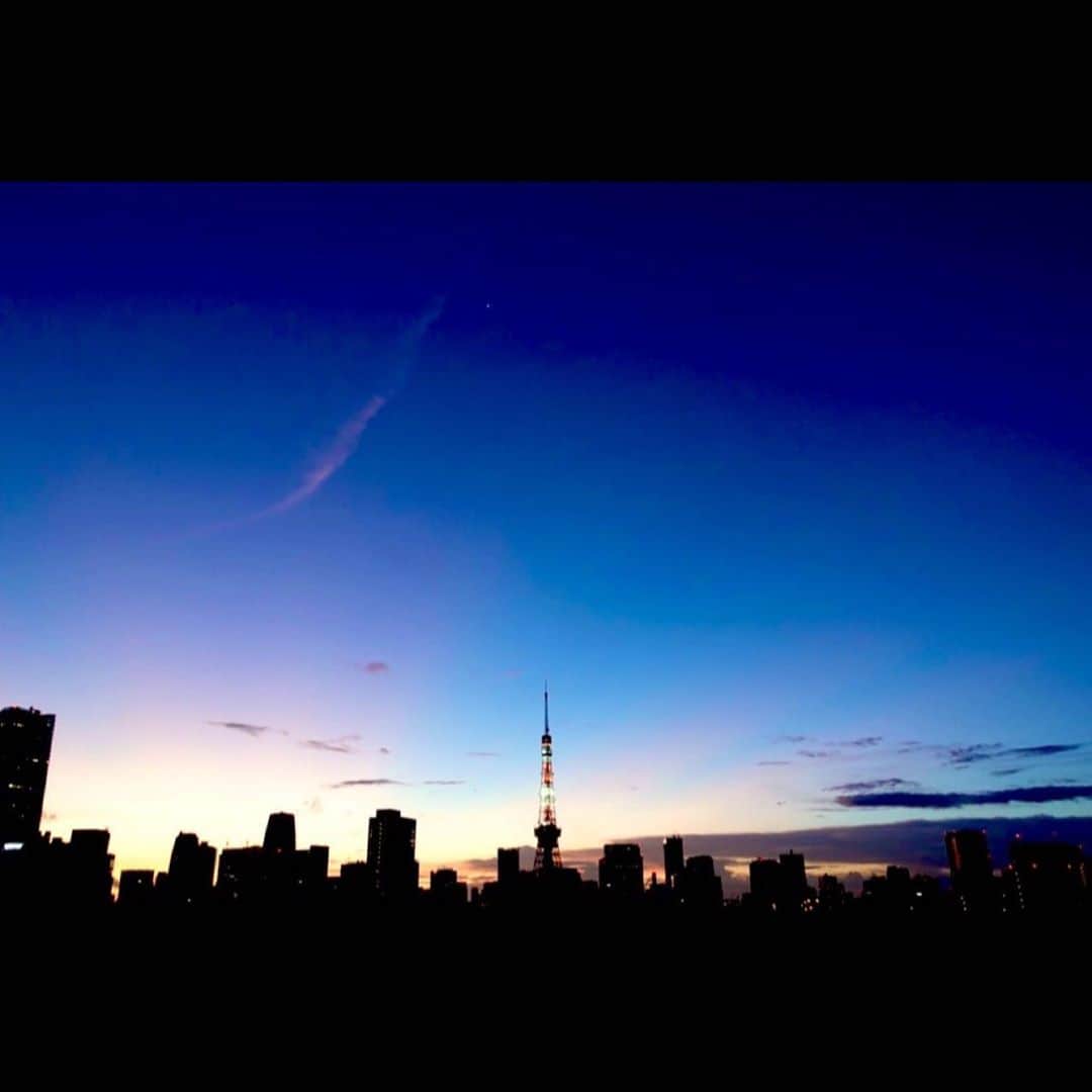 片岡信和のインスタグラム：「夜が明ける頃 ほんのわずかな時間だけ 空は青く染まって 魔法のような彩りが見られます ・ 心満たされて 天気予報をする片岡信和でした ・ #マジックアワー #ブルーモーメント #東京タワー #tokyo #sky #dawn #twilight」