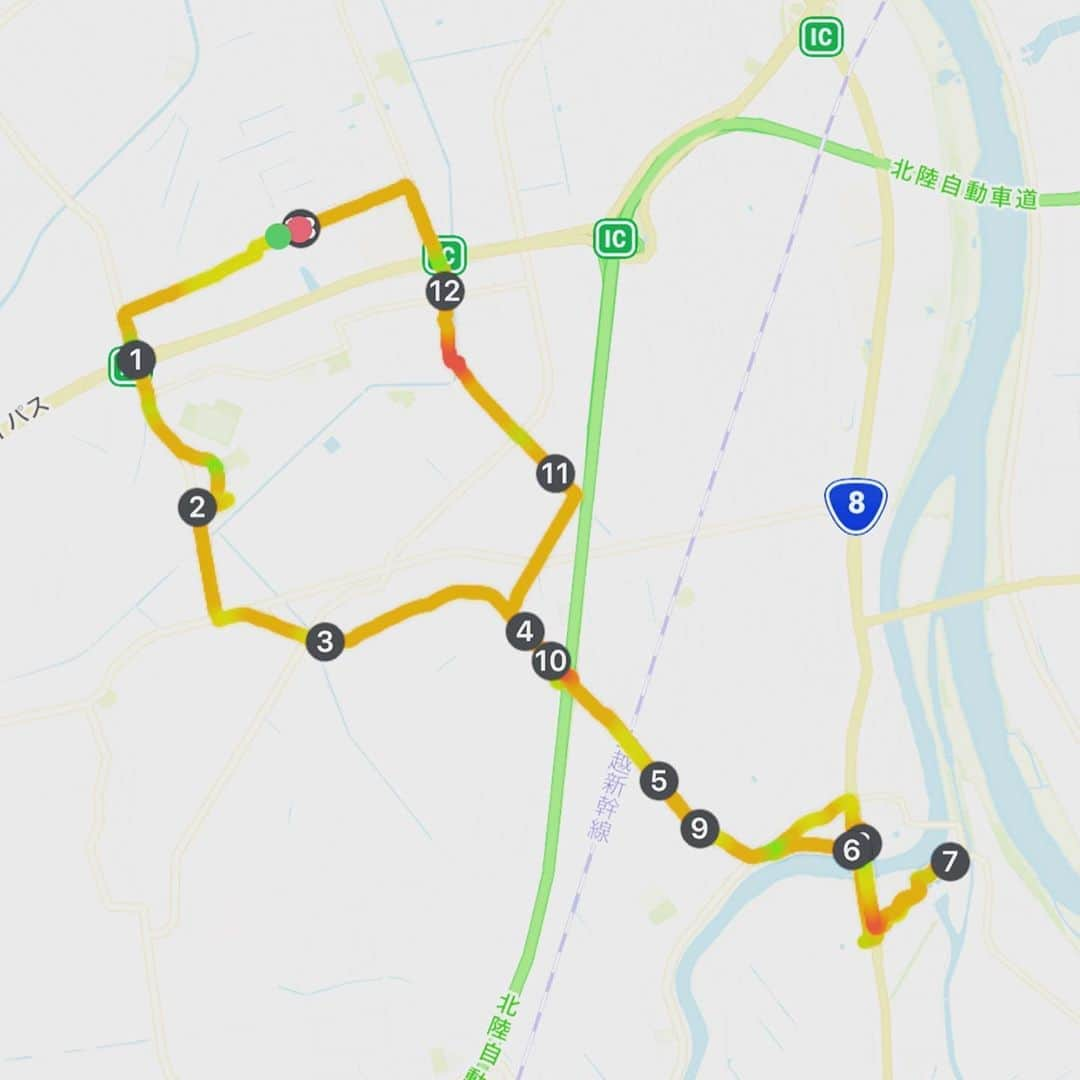 橋本塁さんのインスタグラム写真 - (橋本塁Instagram)「おはようございます！新潟13km朝ラン終了！ 今日も快晴で暑くて走りやすかったです！ 心身共に健康で STINGRAY新潟2日目！11-19時。  #stingrun #朝ラン #玉ラン #adidas #adidasultraboost  #run #running #ランニング　#心身ともに健康に #金玉神社」9月12日 9時02分 - ruihashimoto