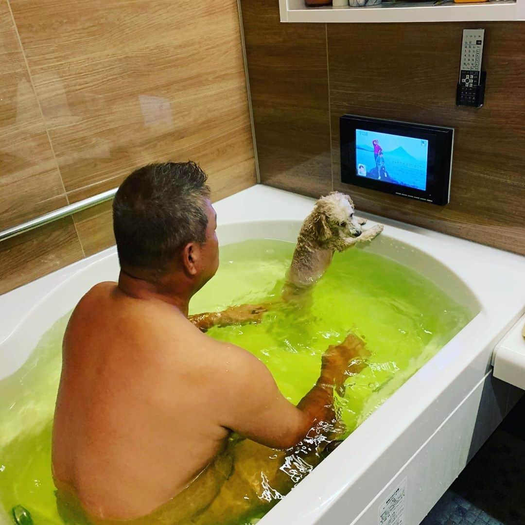 金村義明さんのインスタグラム写真 - (金村義明Instagram)「今日は、蒼玄との戦いに備えて、綺麗にお風呂入って！ 風呂掃除して夜は蒼玄と風呂入ろう！」9月12日 9時30分 - yoshiaki_kanemura