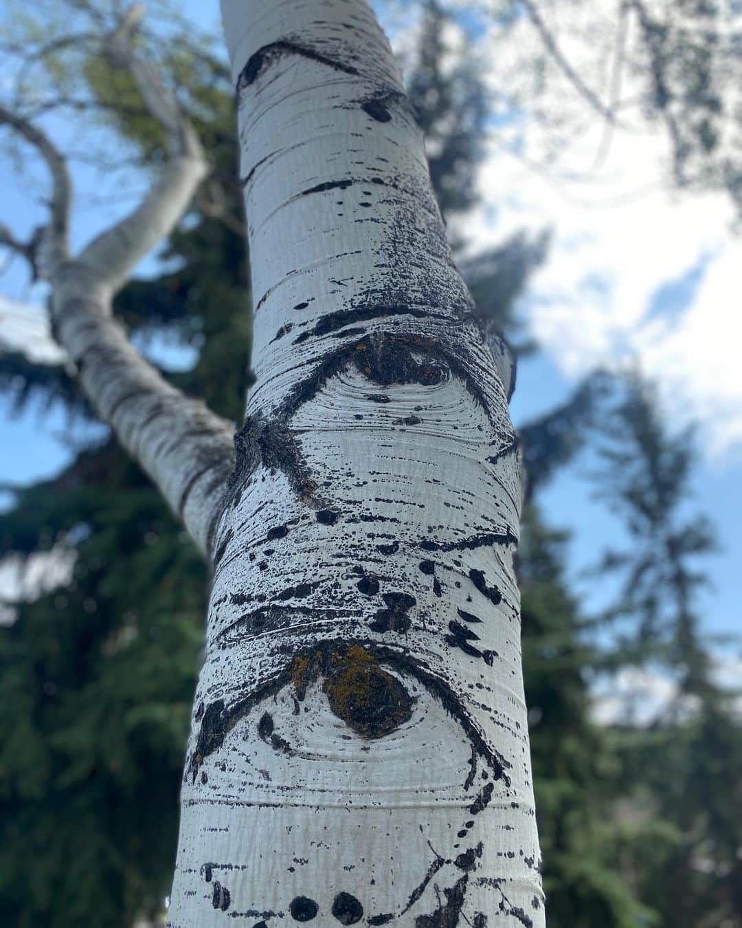 Sarahのインスタグラム：「I had a couple split seconds of pure bliss as I was holding my head out of the window like a happy golden retriever as we drove to hike and for a moment, poof. Everything stopped. I didn’t have to be here or there or this person that someone wants me to be or need to complete anything I was just there. Melting into the wind I closed my eyes and told my mind to remember every little piece of this feeling... and then as fast as it came it was gone.」