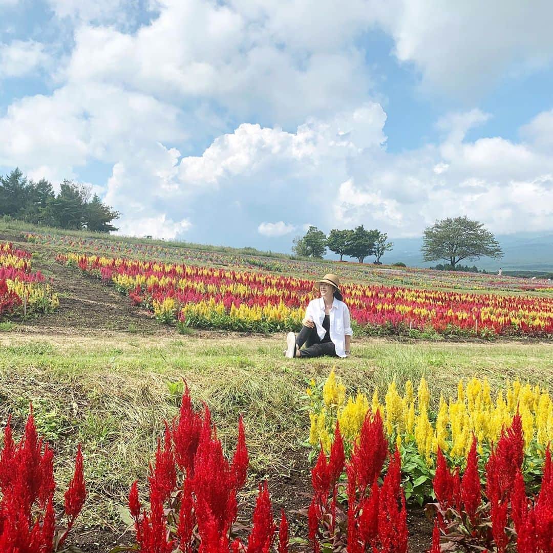 藤田陽子のグルメインスタ