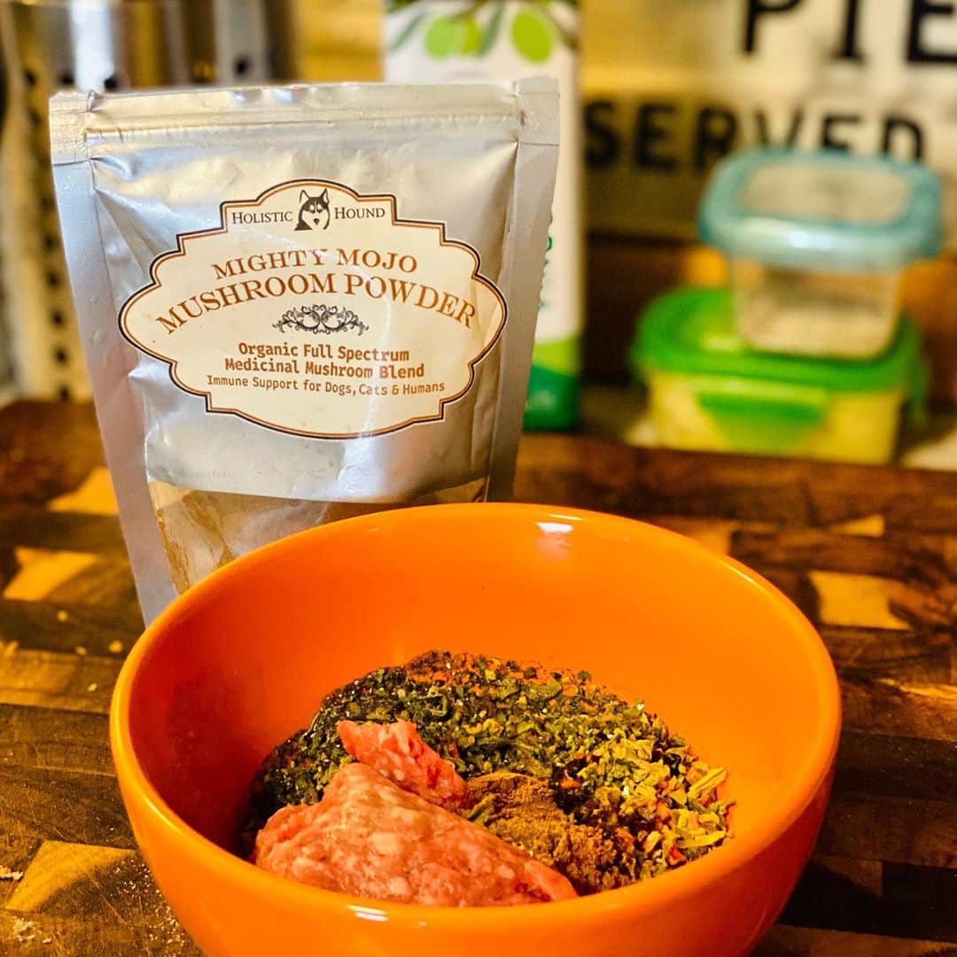 Dogs by Ginaのインスタグラム：「I add @holistichound Mighty Mojo Mushroom Powder to Olys’ dinner. It adds immune support aiding digestion and its an anti inflammatory for joint health.   ...heres a secret, I use it too! I add it with my bone broth. 😋」