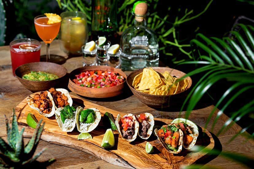 TRUNK(HOTEL)さんのインスタグラム写真 - (TRUNK(HOTEL)Instagram)「TRUNK(KITCHEN)で好評提供中のタコス6種類の食べ放題プラン、「Fiesta De Taco﻿」は9月30日(水)までのご提供となります。  ジューシーなグリルドビーフやパクチー、トマトサルサを使用した定番メニューから、シラスアヒージョやパドロン（スペインししとう）のオリジナルメニューまでタコスをお好きなだけ、アルコールを含むドリンクフリーフローとともにお楽しみください。  トッププロフィールのURLからご予約いただけます。  #trunkhotel #trunkkitchen #ブティックホテル #boutiquehotel ﻿ #hotel #dinner #restaurant﻿ #food #tacos #🌮 #dinner﻿ #タコス #レストラン　#patrontequila #テキーラ ﻿ #tokyo #shibuya #omotesando﻿」9月12日 10時50分 - trunkhotel_catstreet