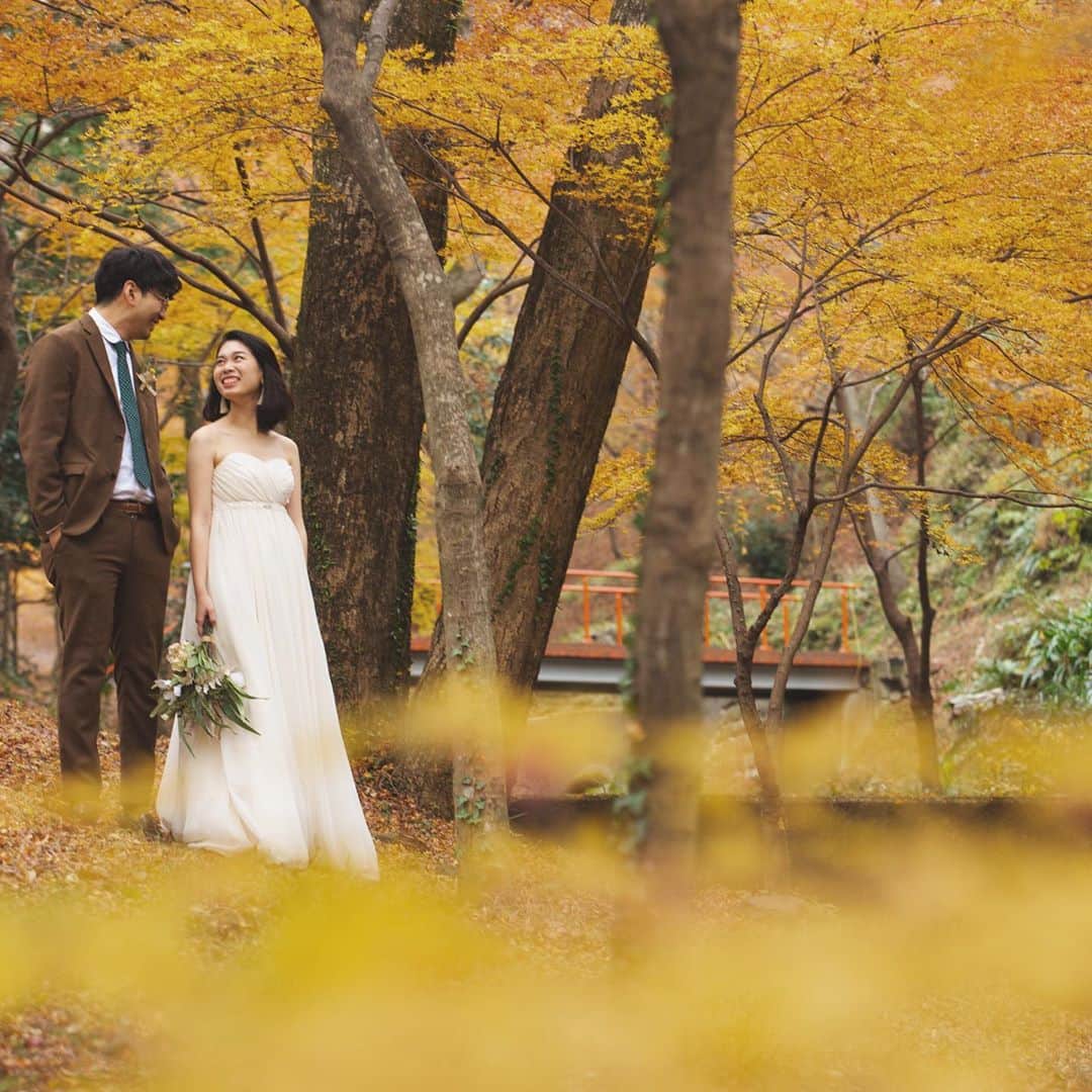 CLAIREのインスタグラム：「色付く季節がやってきます🍁ドレス編👗 ・ @clairebridalstudio」