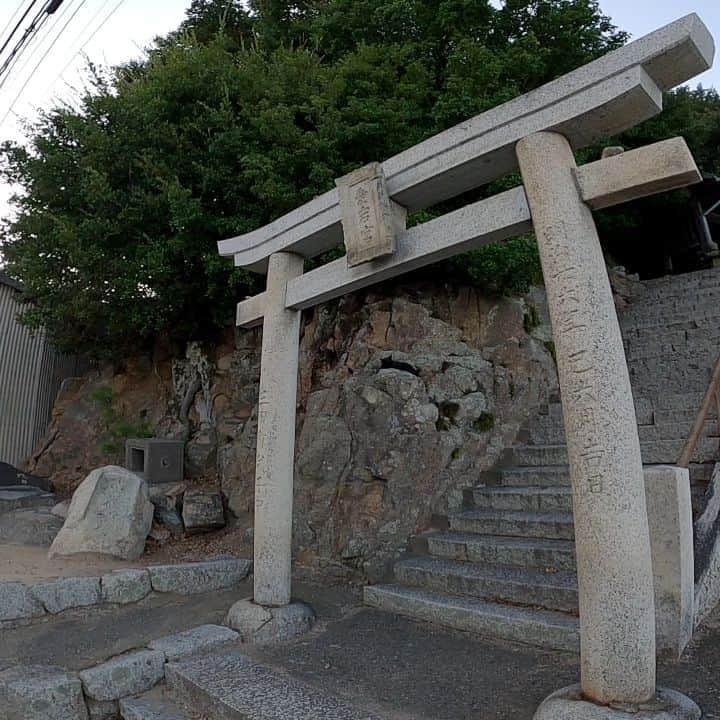 感動猫動画のインスタグラム