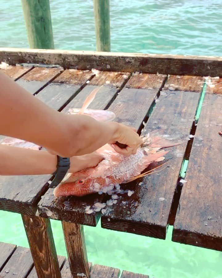福本幸子のインスタグラム