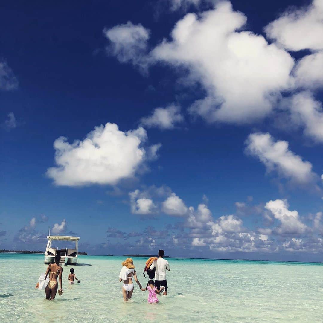 のインスタグラム：「🌴 #thebrand」