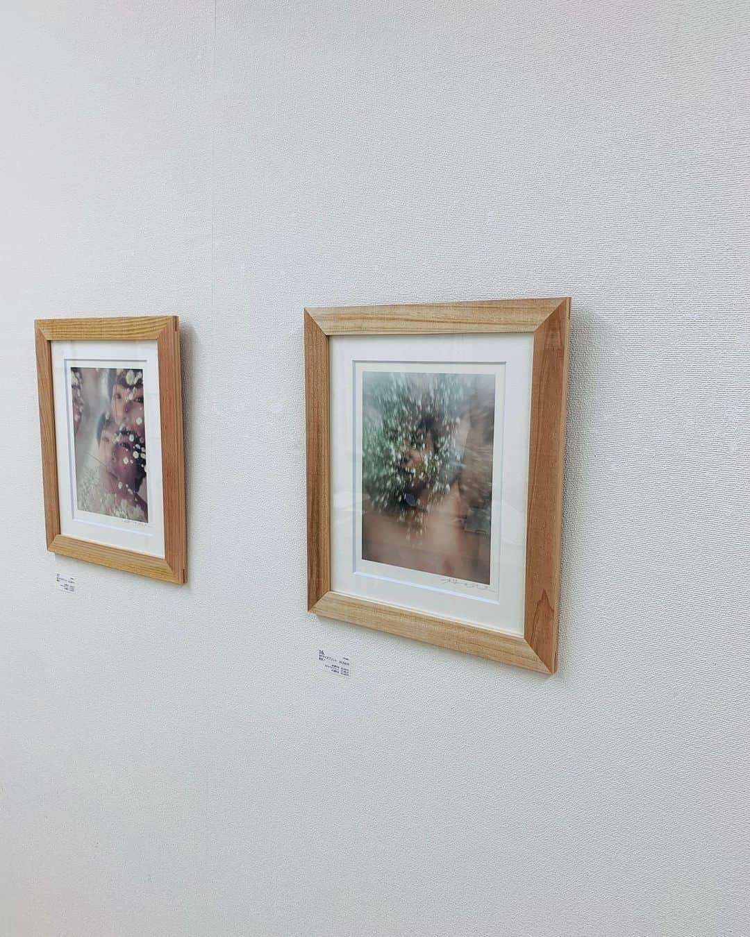 櫻田宗久のインスタグラム：「おはようございます。展示もあっという間に明日で終了となります。2020年にかけて被写体への焦点がすっと素直に見つめられるような変化があって個人的にエポックな体験でした。  本日は16時くらいに神保町画廊におります。 19時半より路地と人に向かいます。 お天気に気をつけてお時間あったらぜひ⭐️  櫻田宗久写真展「水晶をとこ　瞑想をどり」 9月4日(金)～13日(日)　2会場にて同時開催  ★神保町画廊　開廊時間: 13時～19時　会期中無休 千代田区神田神保町1－41－7　安野ビル1階  ★路地と人　開廊時間: 16時～21時　水曜日休廊 千代田区神田三崎町1－15－9　木暮ビル2階」
