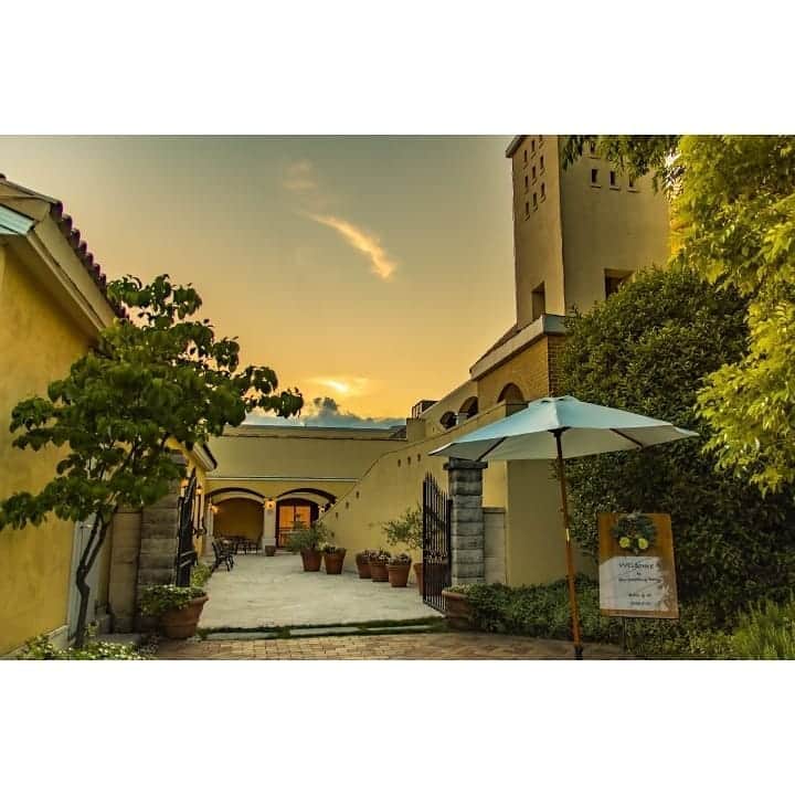 メゾン エルミタージュのグルメインスタ