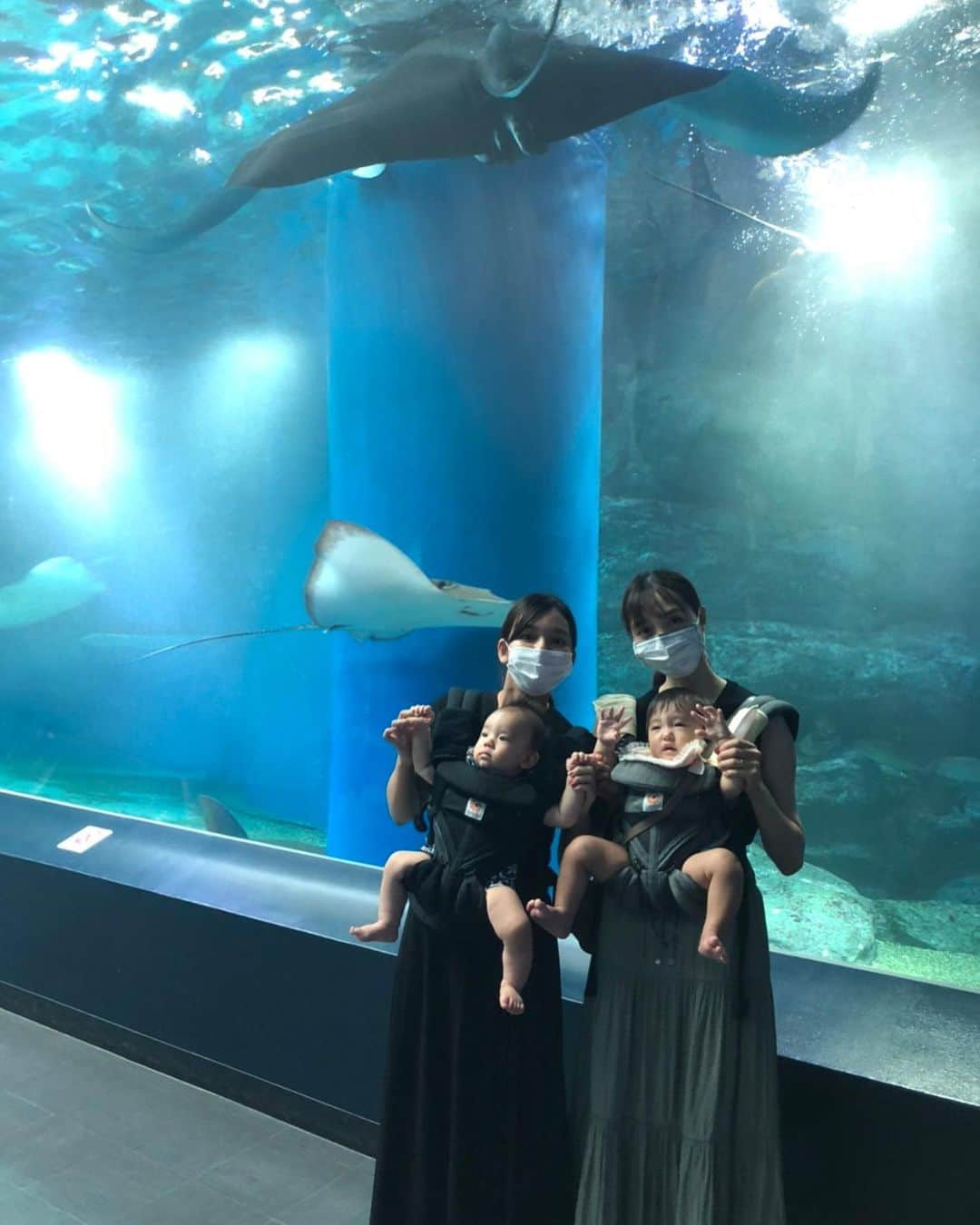 大浦育子さんのインスタグラム写真 - (大浦育子Instagram)「水族館デビュー❤️ 水が大好きな娘は生き物を見るってより水に入りたそうに見えたよ😂 イルカショーも見れて大満足‼︎ もう少し大きくなってからまた来たいなぁ♡それにしても暑い季節の水族館は涼しげでいいですね😊 . .  #水族館デビュー #アクアパーク品川  #ベビー#育児記録#愛娘 #赤ちゃん#育児#子連れ #新米ママ#娘#女の子ママ #ママ#令和ベイビー#子育て #10か月ベビー#生後10ヶ月 #第一子#baby#mama」9月12日 12時15分 - ikuko_oura