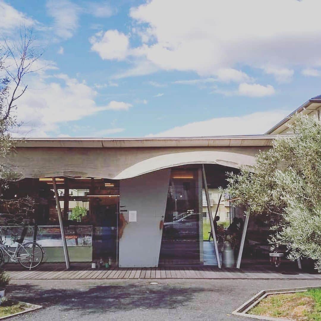 桑原麻美のグルメインスタ