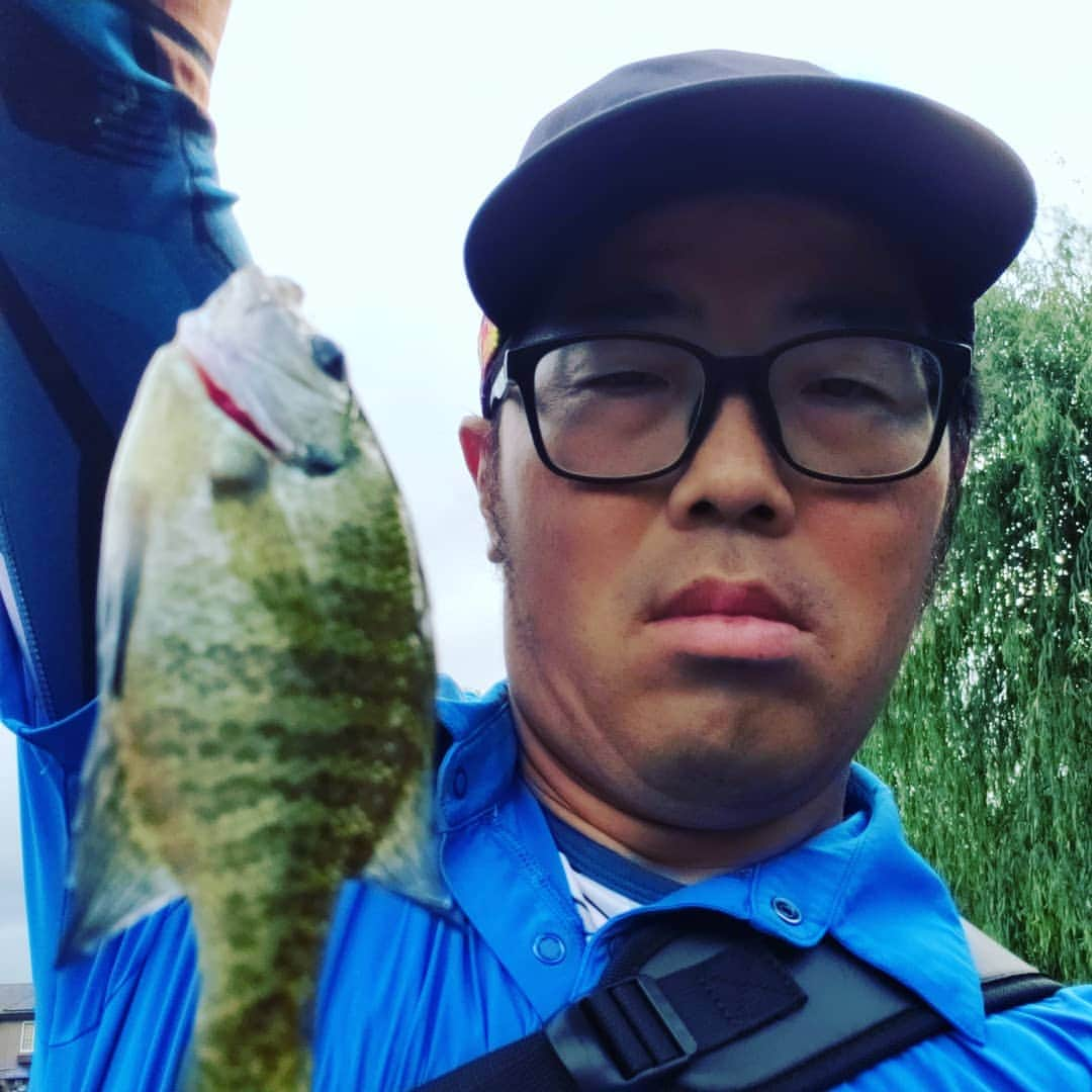 鈴木拓さんのインスタグラム写真 - (鈴木拓Instagram)「源流の渓流釣りに行った。  東野さんがクマが出たら熊よけスプレーを鈴木くんが使ってと言われた。  使う前にいつの間にか落としてなくしていた。  源流で魚が1匹も釣れなかった。  東野さんは帰られた。  残って河口湖で1人で釣りをした。  ブルーギルがテンカラで30引きくらいオカッパリで釣り放題だった。  熊よけも無くして申し訳なかった。  説明書にはクマだけではなく悪人にもかけて良し。と書いてあった。」9月12日 13時26分 - suzukitaku.drunkdoragon