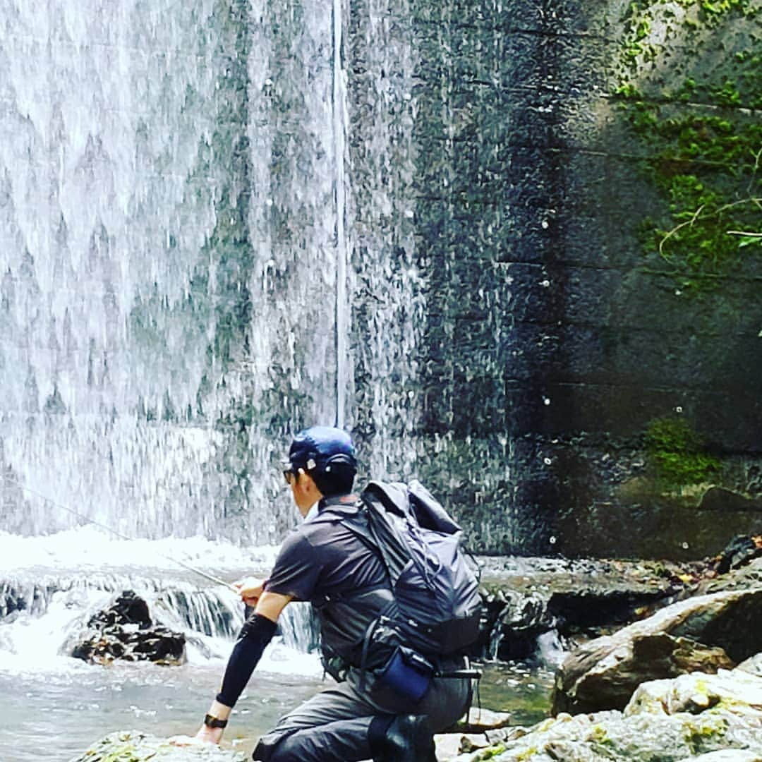 鈴木拓さんのインスタグラム写真 - (鈴木拓Instagram)「源流の渓流釣りに行った。  東野さんがクマが出たら熊よけスプレーを鈴木くんが使ってと言われた。  使う前にいつの間にか落としてなくしていた。  源流で魚が1匹も釣れなかった。  東野さんは帰られた。  残って河口湖で1人で釣りをした。  ブルーギルがテンカラで30引きくらいオカッパリで釣り放題だった。  熊よけも無くして申し訳なかった。  説明書にはクマだけではなく悪人にもかけて良し。と書いてあった。」9月12日 13時26分 - suzukitaku.drunkdoragon