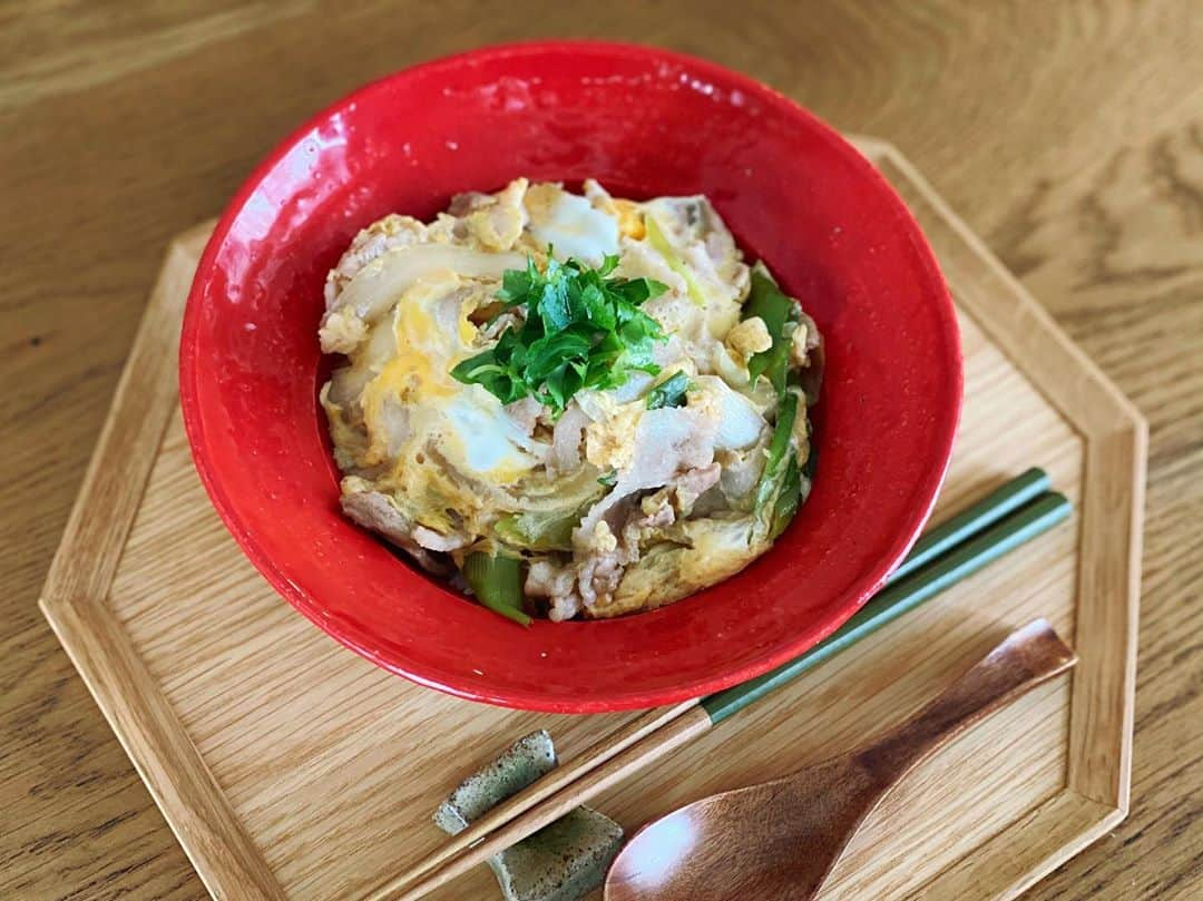 高山直子さんのインスタグラム写真 - (高山直子Instagram)「おひるごはん🍚 ●他人丼 小分けにして冷凍してある豚肉、冷蔵庫にあった玉ねぎ長ネギで。薄揚げとか入れたかったな🤔 早くスーパー行けるようになりたい🥕 夫に頼めるし、配達もできるけど自分で見て選んで献立決めてっていうのがやっぱ好きよね☺️ 友達にオススメしてもらってパルシステムは7月に登録したけど3ヶ月待ちで10月から使い始めるの😲 大人気！早く使いたい😘 朝からさっきまで娘、大フィーバーでやっと寝ました🥺 わたしは睡眠より食欲をとりました←  #喫茶なおコロ #簡単メニュー#スピードメニュー#簡単丼 #あるもので#他人丼#美味しかった」9月12日 13時58分 - nao_70koro