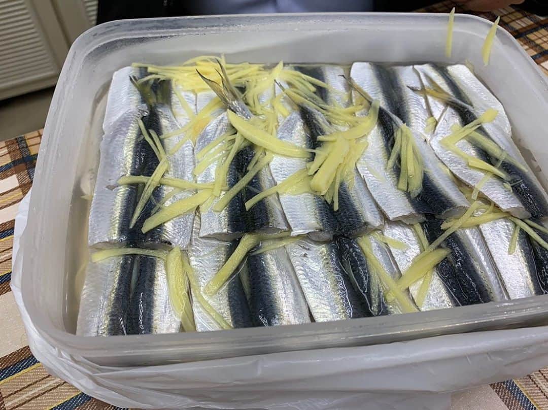 平井卓也さんのインスタグラム写真 - (平井卓也Instagram)「豊島の友人が私の大好物であるママカリの酢漬けを届けてくれました。大漁だったとのことで、たくさんいただきました。しばらく楽しめます。ありがとうございました。瀬戸内の海の幸、最高です。#平井卓也　#ママカリ　#豊島」9月12日 14時00分 - hiratakuchan0125