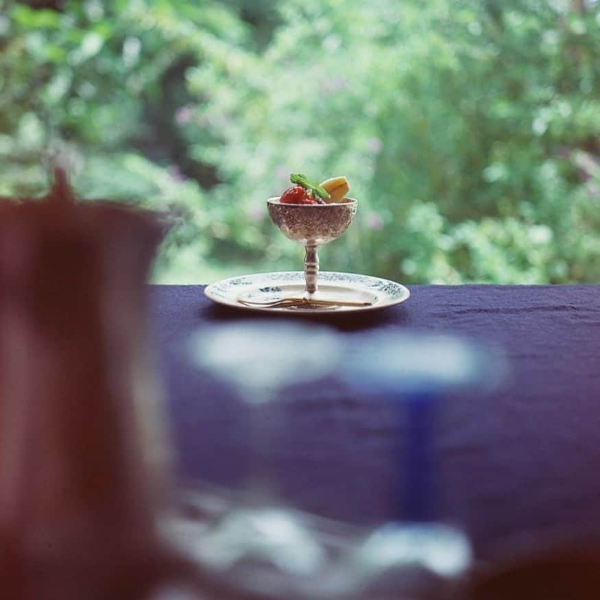 tetrrineのグルメインスタ