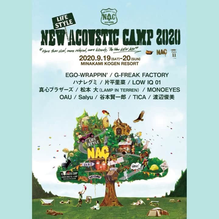Salyuのインスタグラム：「◼️お知らせ　New (Lifestyle) Acoustic Camp 2020出演者発表🍀 Salyuはギターリストの羊毛さんとのDUOで参加します。」