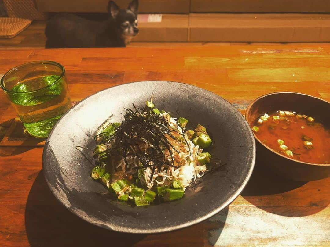 結城リナのインスタグラム：「家ではこういうご飯しか作って食べたくない。お肉よりお野菜派🥗 #おうちご飯」