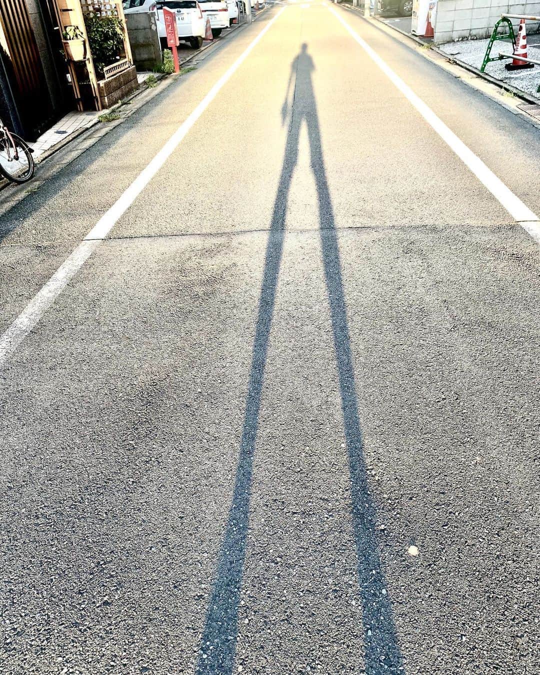 設楽洋さんのインスタグラム写真 - (設楽洋Instagram)「たらちゃん、足ながっ⁉️😆✨  #たら散歩 #散歩 #walking」9月12日 15時26分 - taracyan3