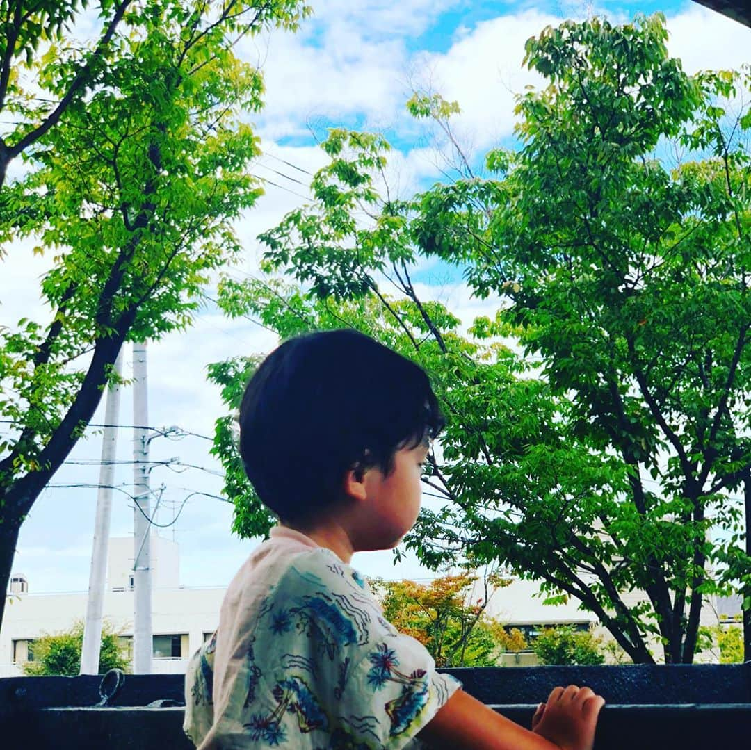 平山智加さんのインスタグラム写真 - (平山智加Instagram)「１日曇り  瞬間の晴れ間  息子のリクエストで 機関車を見に行きました🚂  乗り物が大好き  明日から仕事なので 妹ちゃんがお昼寝の間 息子とデートです♡  #機関車  #平山智加  #ボートレース」9月12日 15時31分 - chika_hirayama