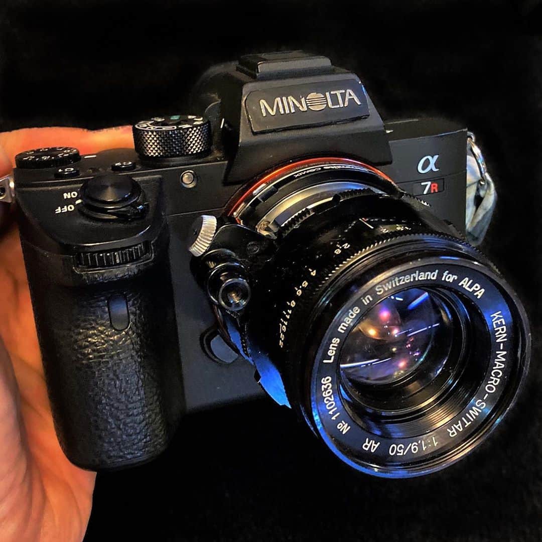 のインスタグラム：「「僕のα7RⅢ」 今日は少しだけカメラの話しを😅 1985年に実質的に世界初のオートフォーカスカメラとしてミノルタa7000が発売され、世界中に衝撃を与えました。 カメラが自動的にピントを合わせてくれるオートフォーカス機能は誰もが夢見た便利な機能でした。今ではそれが当たり前のようにAF機能(オートフォーカス)としてどんなカメラにも搭載されていますけどね😆 しかしカメラメーカーとしては経営的には徐々に厳しくなって行き、2000年代に入り老舗のミノルタ社は同じく老舗のコニカ社と経営統合します。そしてとうとう2006年にそのコニカミノルタ社がカメラ事業から撤退し、αシリーズはそのままあのSONYが引き継ぐことになるのです。  僕もSONYが引き継いだこのミラーレス一眼のαシリーズは好きで、オールドレンズ等を楽しみながら使っているのですが、どうしても当時αを開発し成功したにもかかわらずSONYに異動せざるを得なかった旧ミノルタ社の技術者や開発に携わった方々の顔や無念さが脳裏にチラついてしまうのです。 ですので、僕のαにはこうしてSONYのロゴの上にMINOLTAのロゴを自分で貼り付けているのです。SONYさんスミマセン💦 我ながら古いカメラ人間とは思いつつ、彼らの努力や苦労に敬意を表して、「時代は変わってもやっぱαはミノルタさ」ってね🤨  #MINOLTA #ミノルタカメラ #コニカミノルタ #αシリーズ #SONYα7RⅢ #ミラーレス一眼 #オールドレンズ #マウントアダプター #macroswitar50mmf19  #iPhone11pro #秋めいて来ました😌」