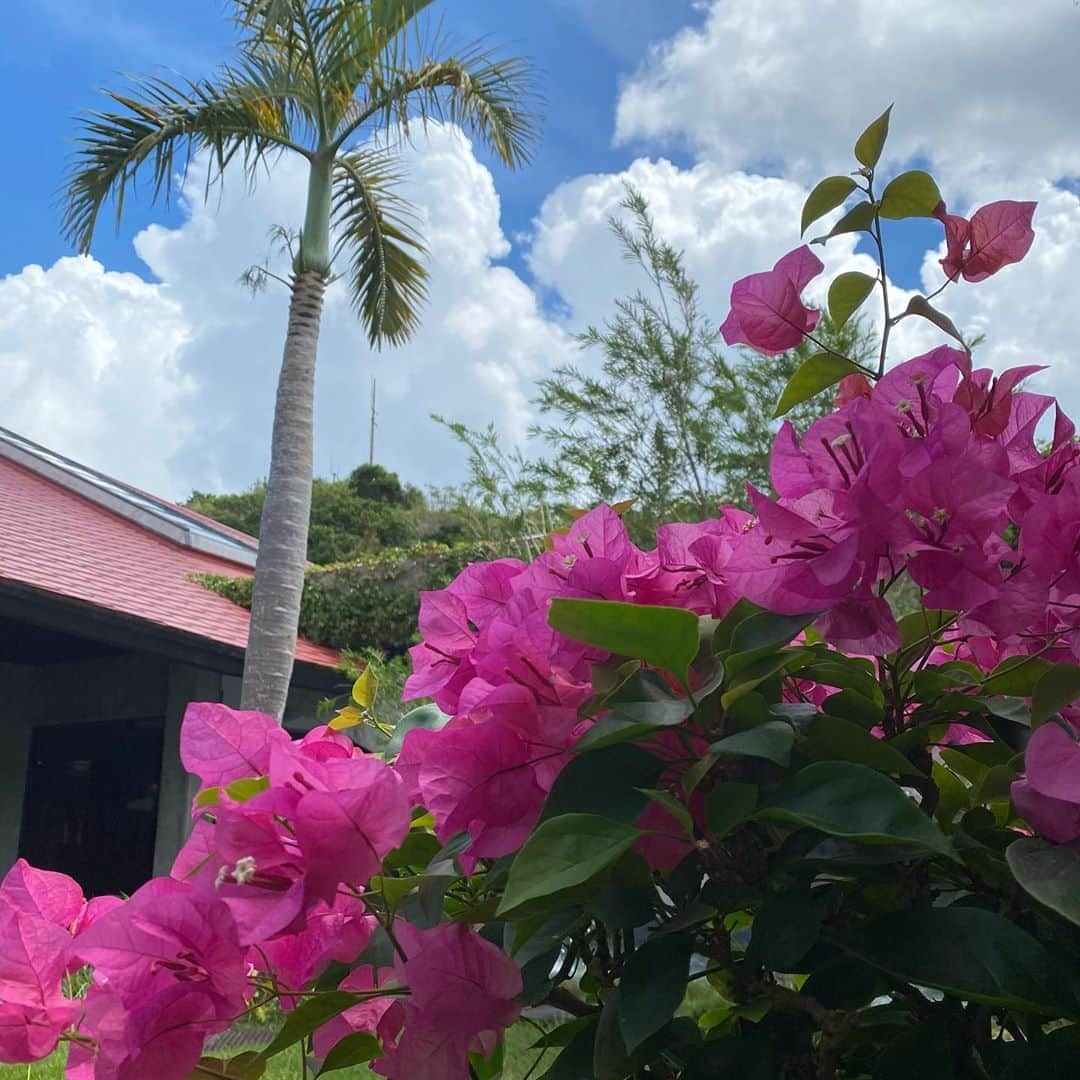 井上奈保さんのインスタグラム写真 - (井上奈保Instagram)「🌺🌺🌺 #trip #summerlife #okinawa」9月12日 15時43分 - inouenaho1207