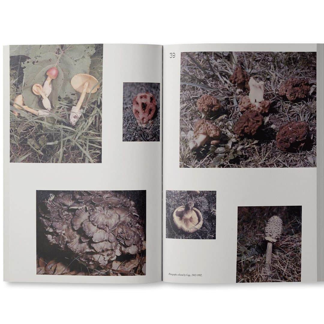 DOVER STREET MARKET GINZAさんのインスタグラム写真 - (DOVER STREET MARKET GINZAInstagram)「JOHN CAGE: A MYCOLOGICAL FORAY has arrived at Dover Street Market Ginza 7F BIBLIOTHECA Published by Atelier Éditions (US).  @post_books @twelvebooksdistribution」9月12日 16時08分 - doverstreetmarketginza
