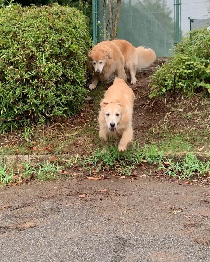 まゆみのインスタグラム