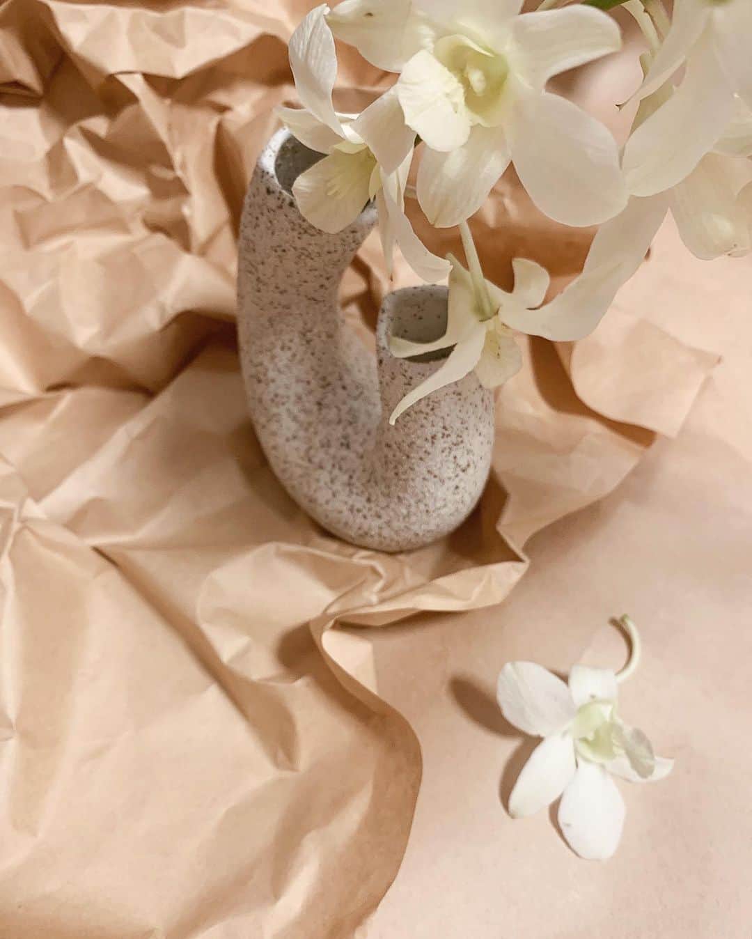 のインスタグラム：「🤍🤍🤍 ㅤ #interior #flower #flowerbase #フラワーベース #インテリア #花瓶 #お花 #デンファレ #花のある暮らし」