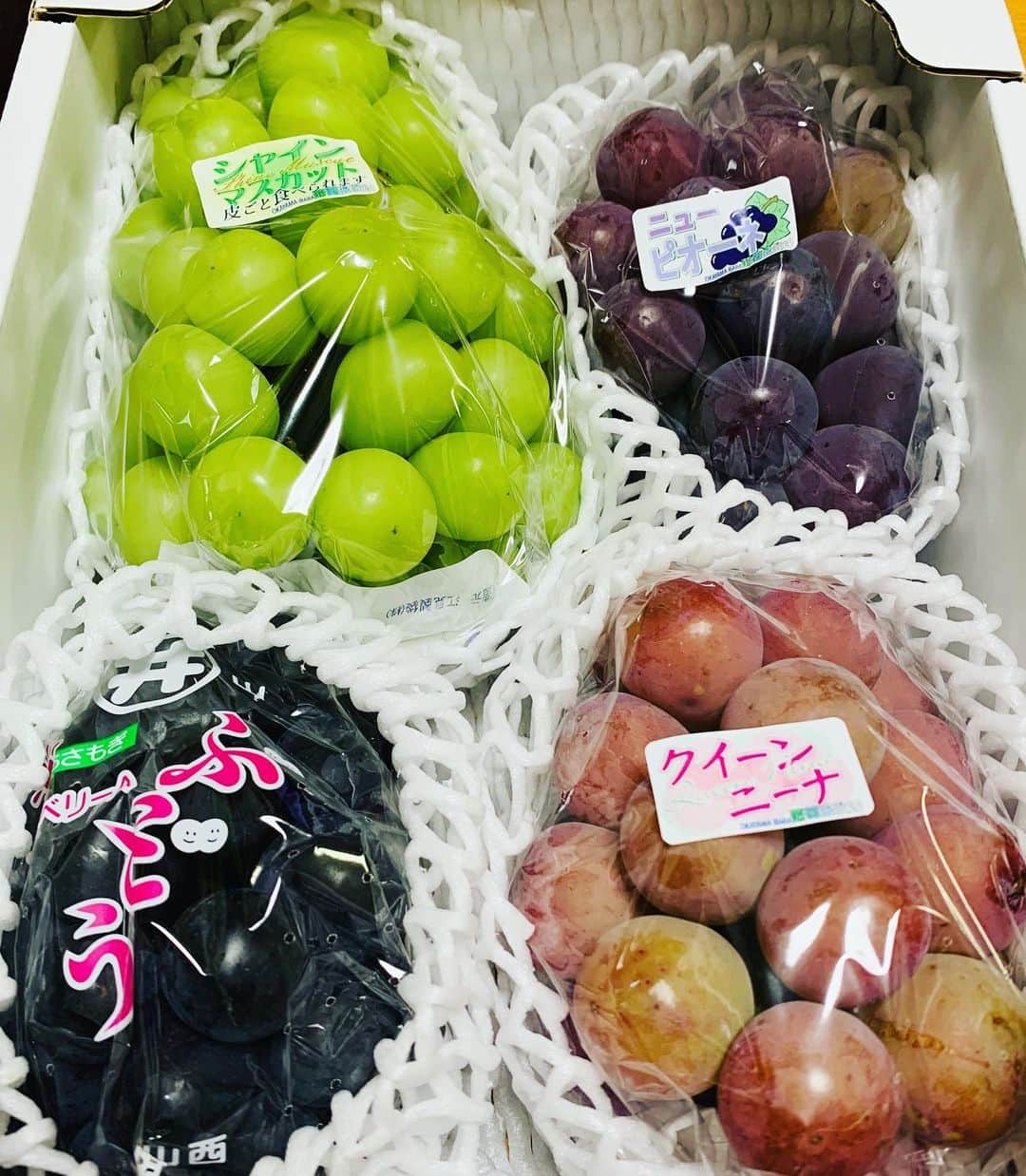 藤井惠さんのインスタグラム写真 - (藤井惠Instagram)「井原の葡萄 毎年本当に美味しくて驚きます☺️  #岡山県 #井原市 #葡萄 #粒が大きくて #甘くて美味しかった 🍇」9月12日 21時23分 - megumi_fujii