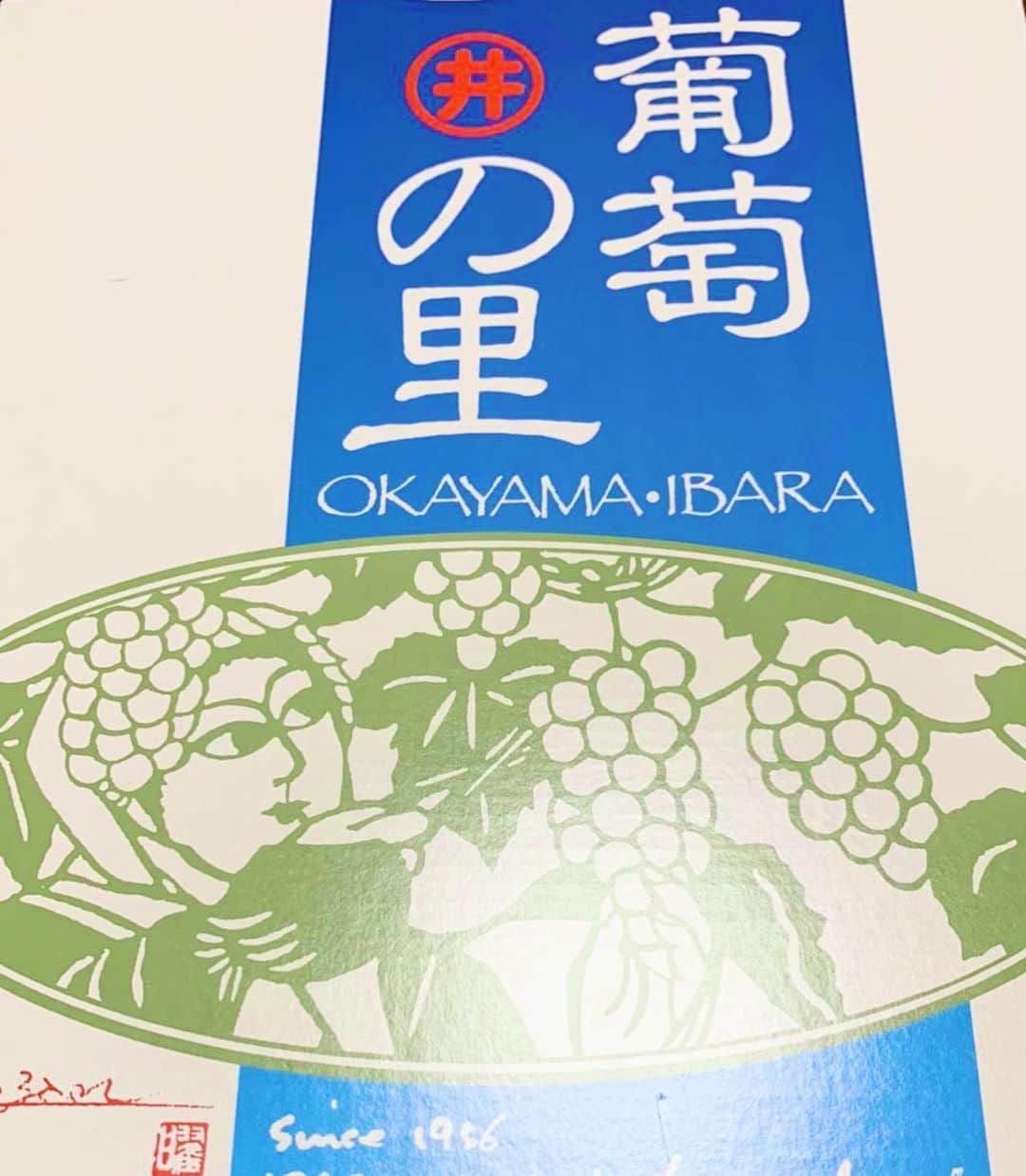 藤井惠さんのインスタグラム写真 - (藤井惠Instagram)「井原の葡萄 毎年本当に美味しくて驚きます☺️  #岡山県 #井原市 #葡萄 #粒が大きくて #甘くて美味しかった 🍇」9月12日 21時23分 - megumi_fujii